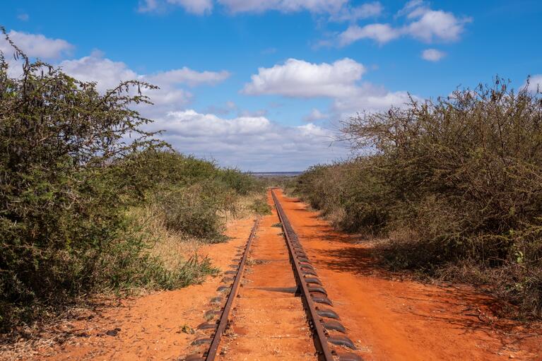 Projet rail en Afrique